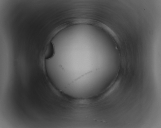 X0000100841041200807070929