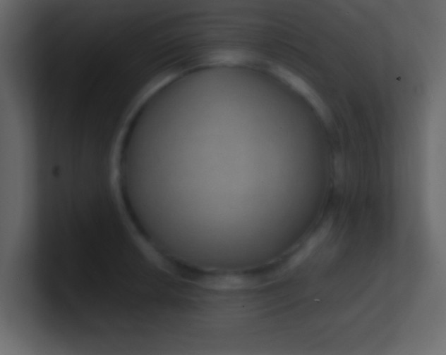 X0000100841042200807070929