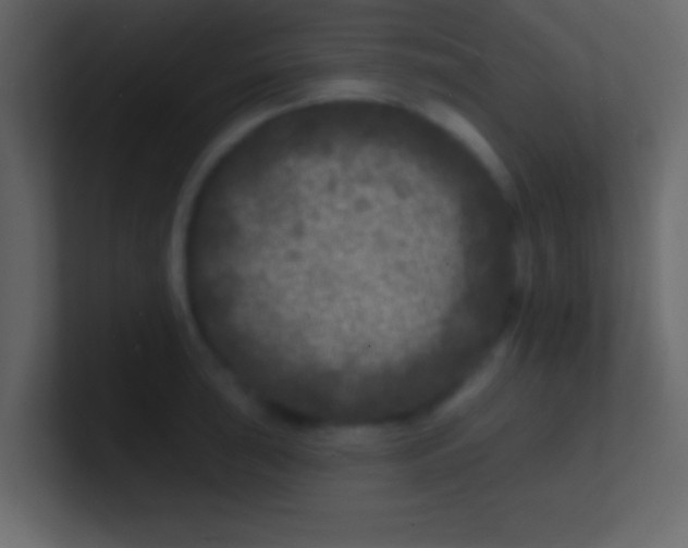 X0000100841043200807070929