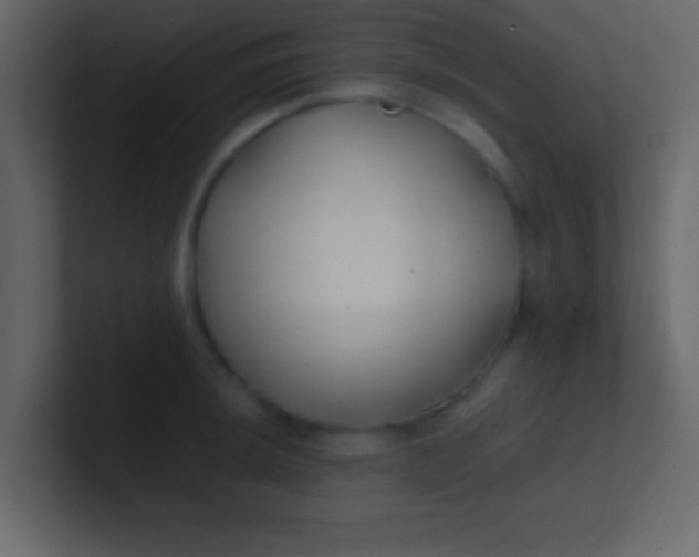 X0000100841044200807070929