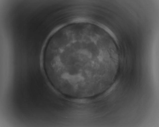 X0000100841045200807070929