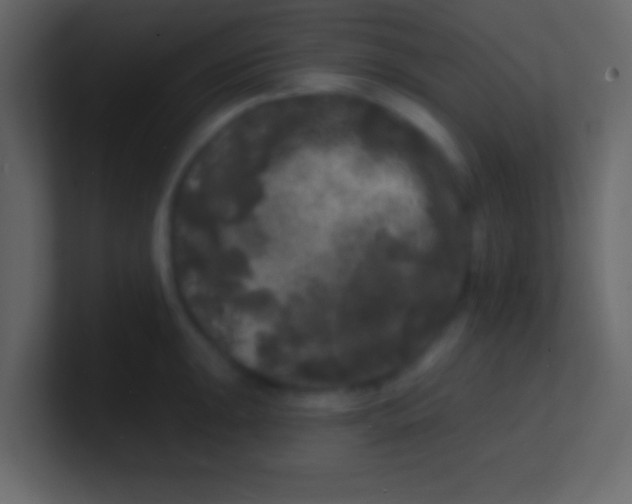 X0000100841047200807070929