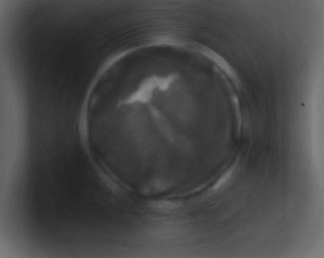 X0000100841048200807070929