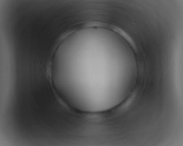 X0000100841049200807070929