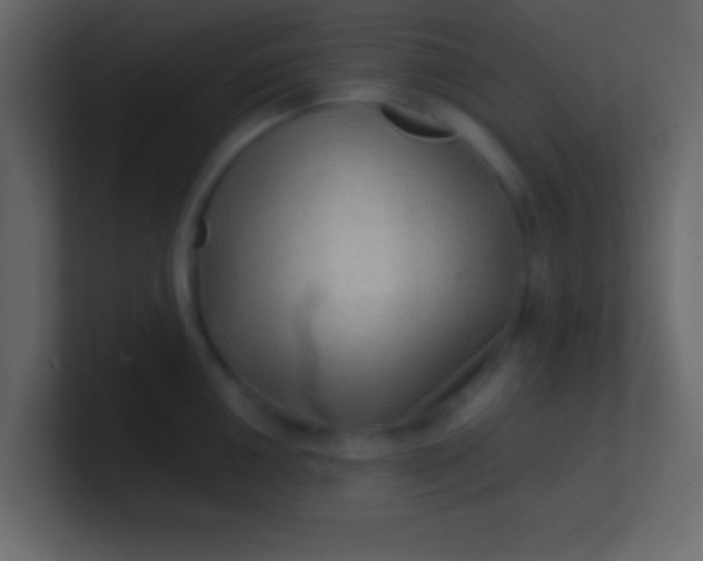 X0000100841050200807070929