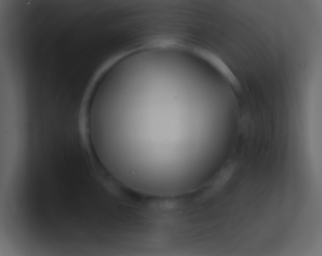 X0000100841051200807070929