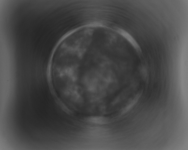 X0000100841052200807070929