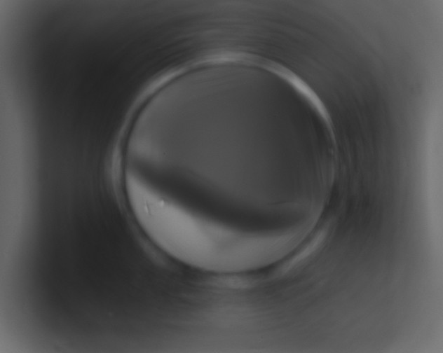 X0000100841053200807070929