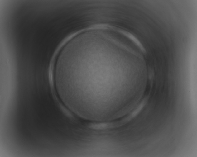 X0000100841054200807070929