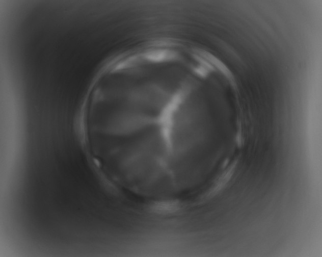 X0000100841055200807070929