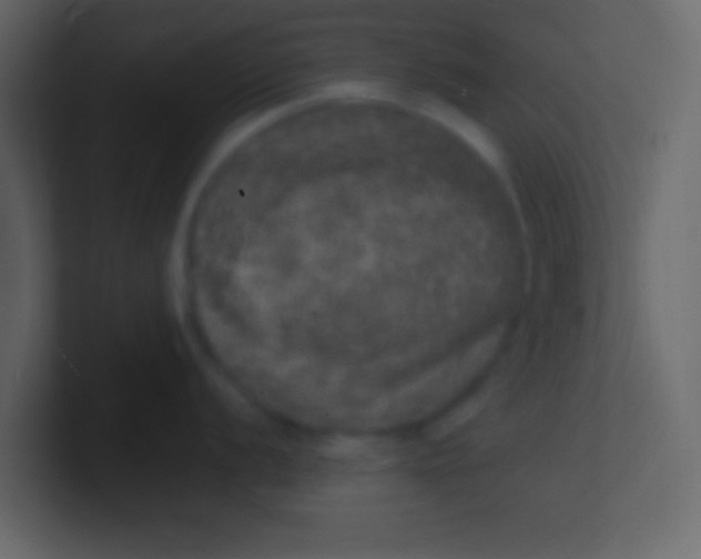 X0000100841056200807070929