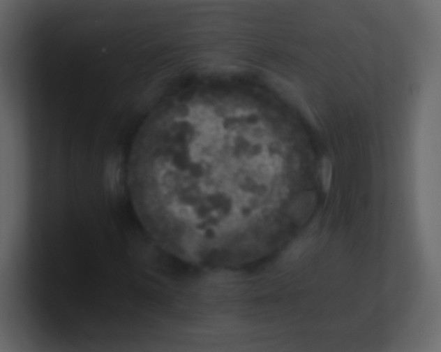 X0000100841059200807070928