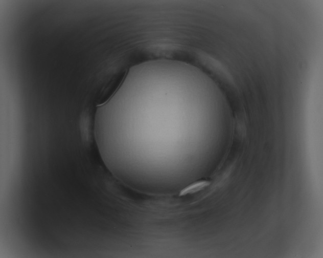 X0000100841060200807070928