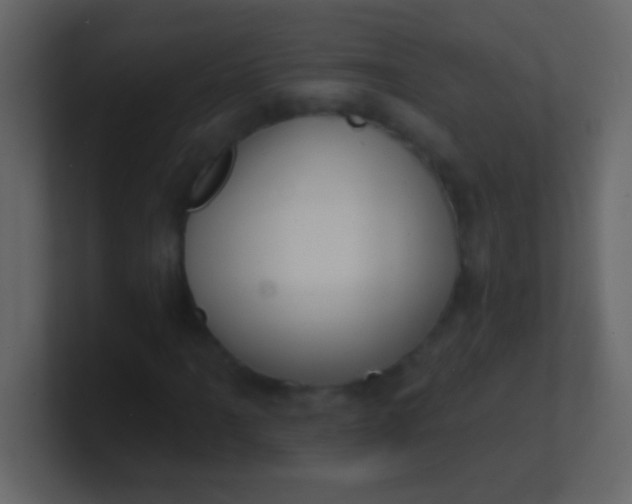 X0000100841061200807070928