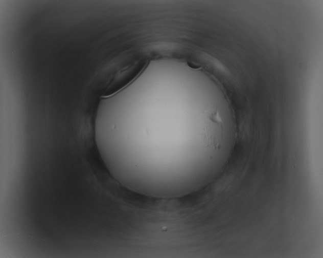 X0000100841062200807070928