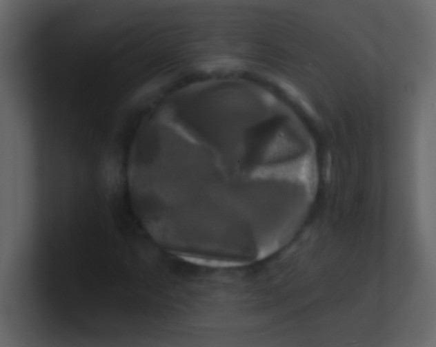 X0000100841063200807070928