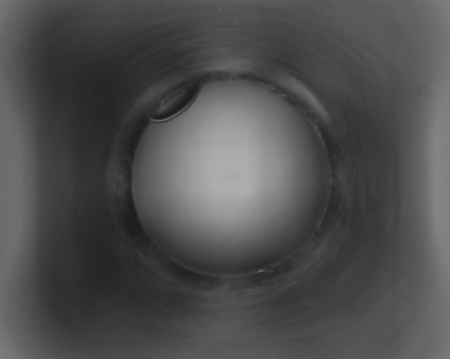 X0000100841064200807070928