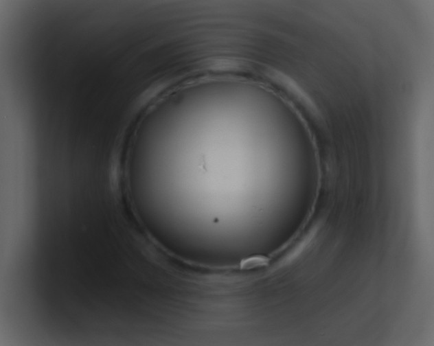 X0000100841065200807070928