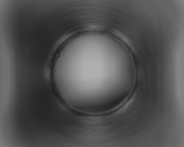 X0000100841066200807070928