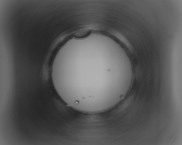 X0000100841067200807070928