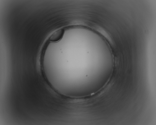 X0000100841068200807070928