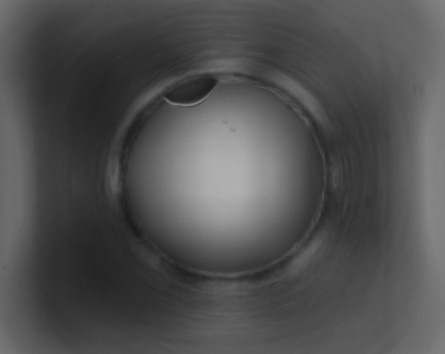 X0000100841069200807070928