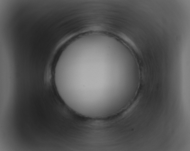 X0000100841070200807070928