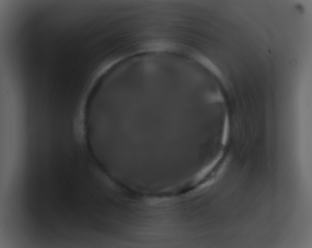 X0000100841071200807070928