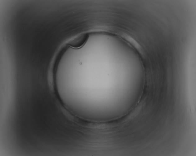 X0000100841072200807070928