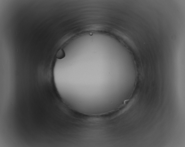 X0000100841073200807070928