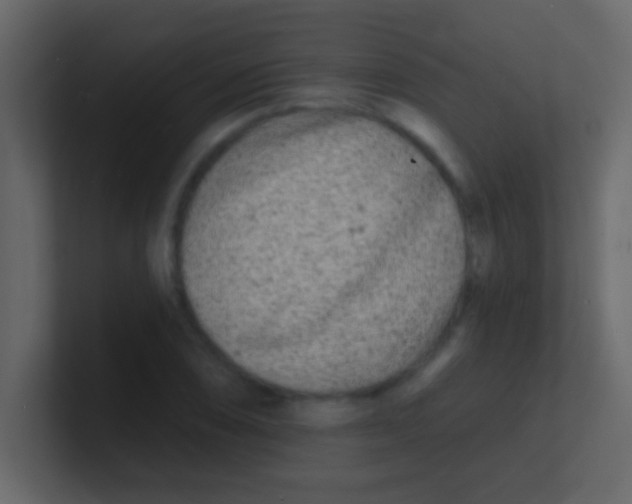 X0000100841074200807070928