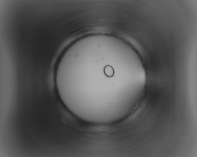 X0000100841075200807070928