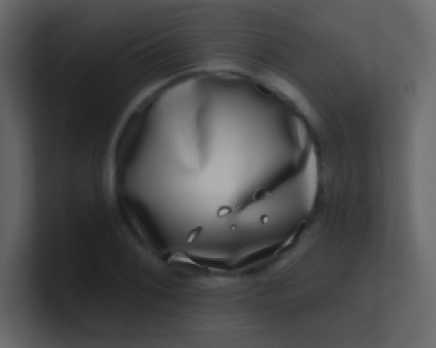 X0000100841076200807070928