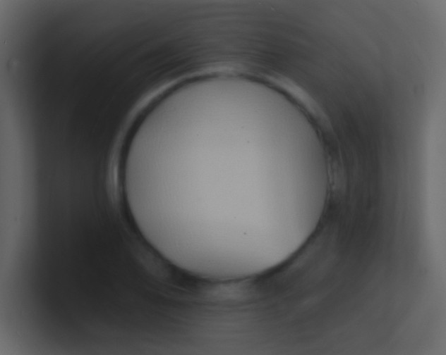 X0000100841078200807070928