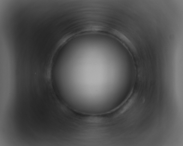 X0000100841081200807070928