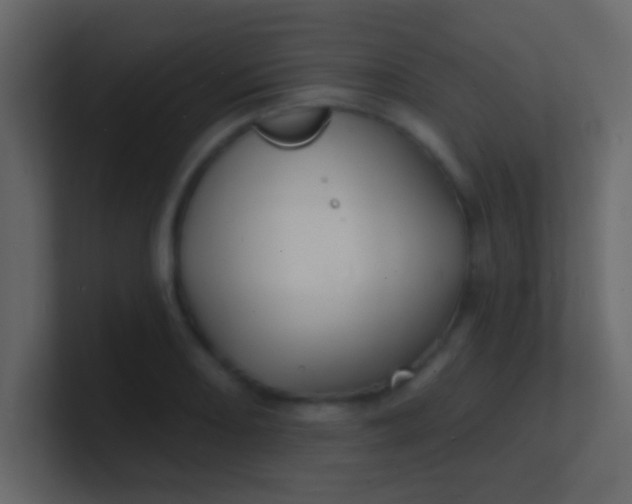 X0000100841082200807070928