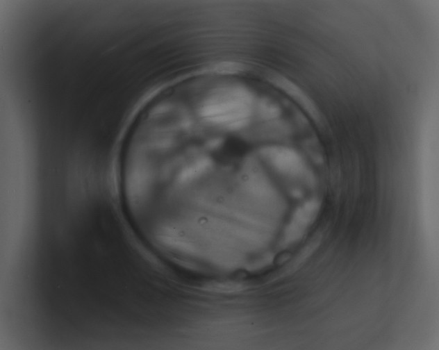 X0000100841083200807070928