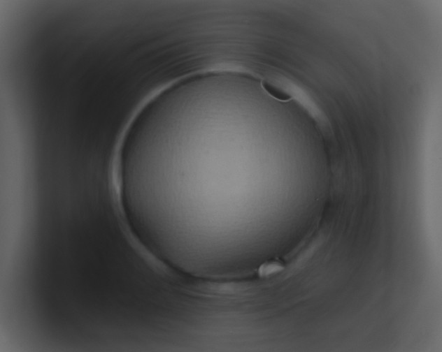 X0000100841084200807070928