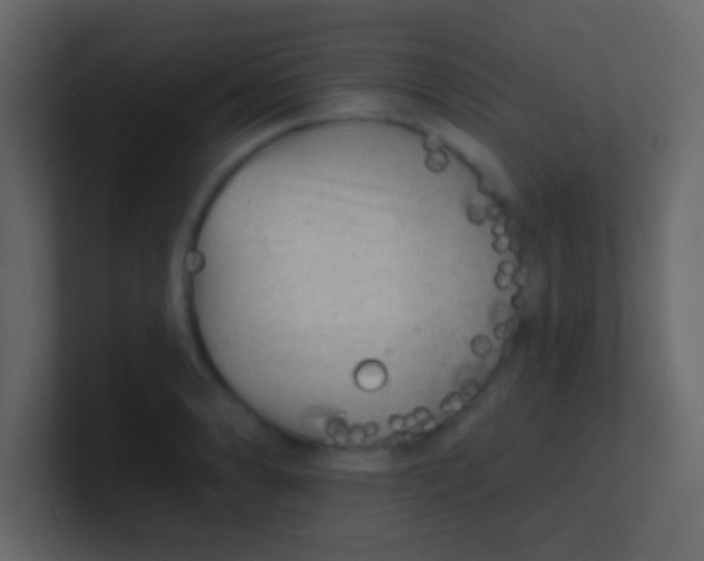 X0000100841086200807070928