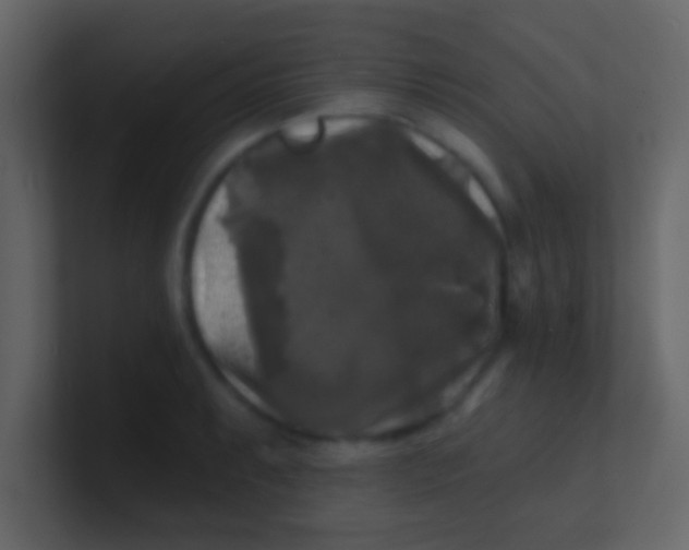 X0000100841087200807070928