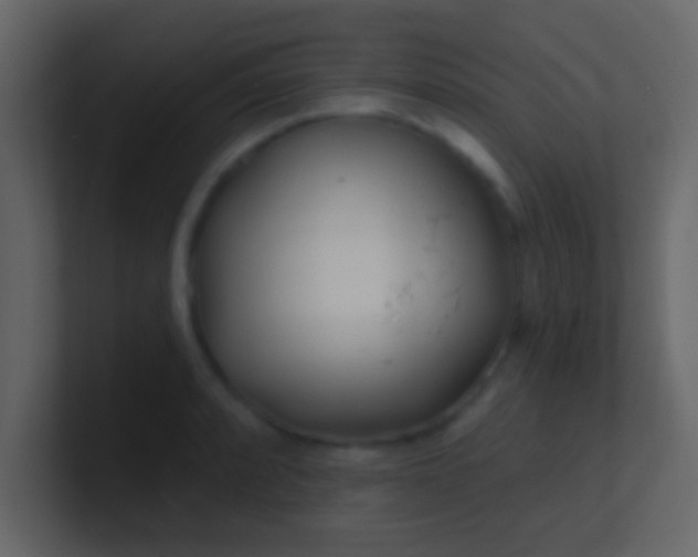 X0000100841088200807070928