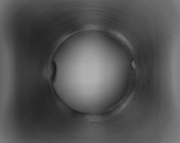 X0000100841089200807070928