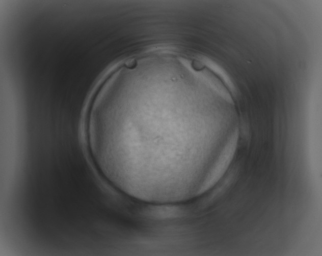 X0000100841090200807070928