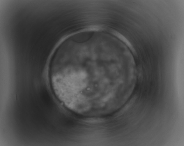 X0000100841091200807070928