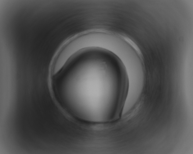 X0000100841093200807070928