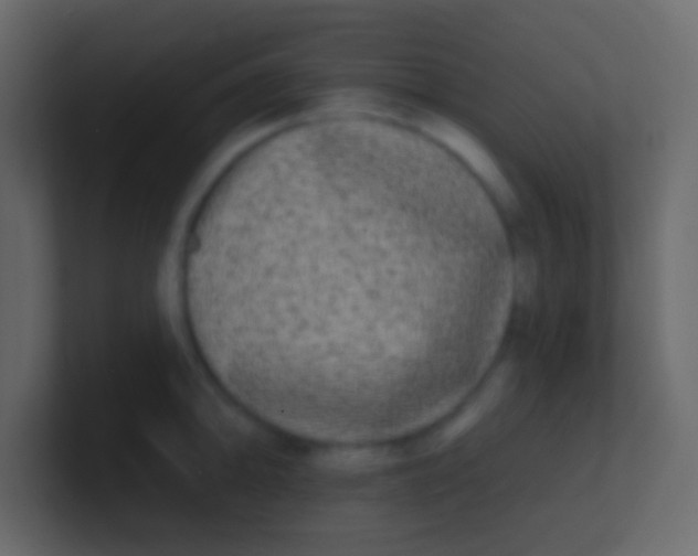 X0000100841094200807070928