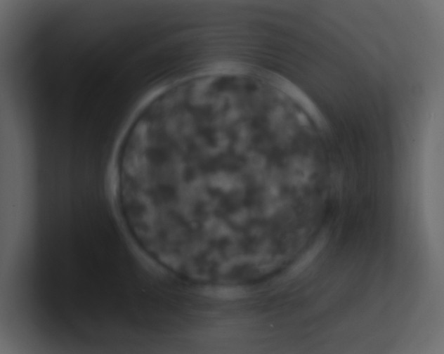 X0000100841095200807070928