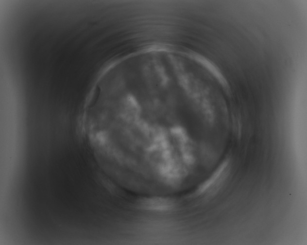 X0000100841097200807070928