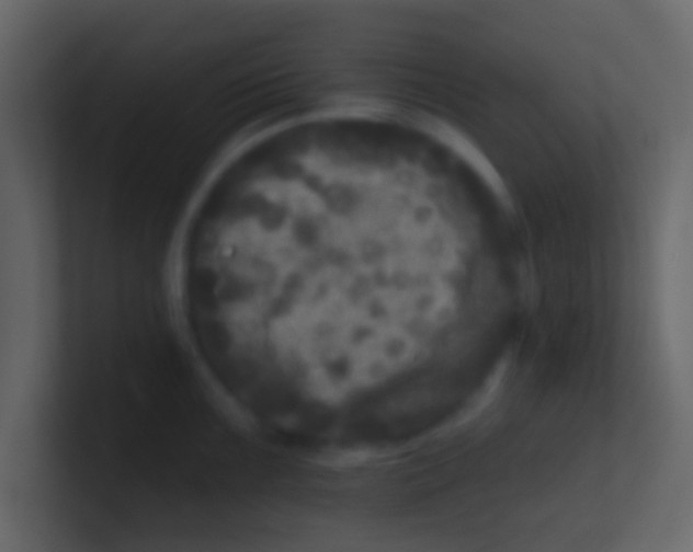 X0000100841099200807070928