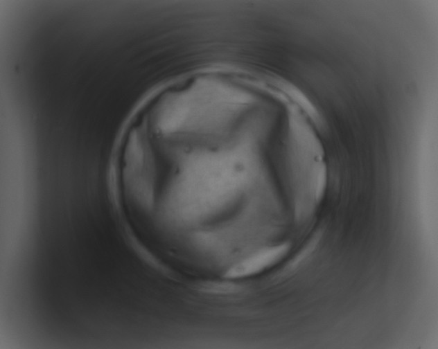 X0000100841100200807070928